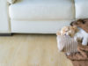 How to Create Content to Generate Leads While You Sleep