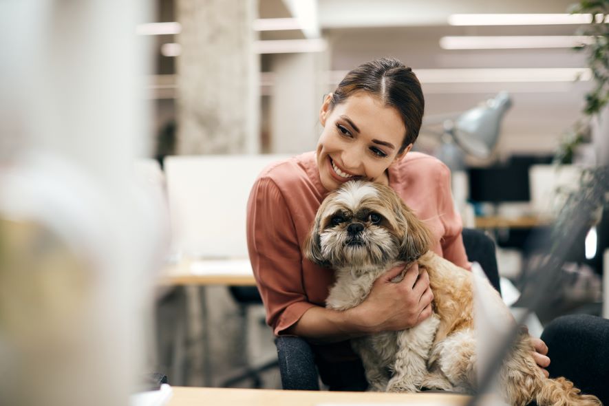 How To Keep Your Dog Busy While You're At Work - Bella+Boss Pets