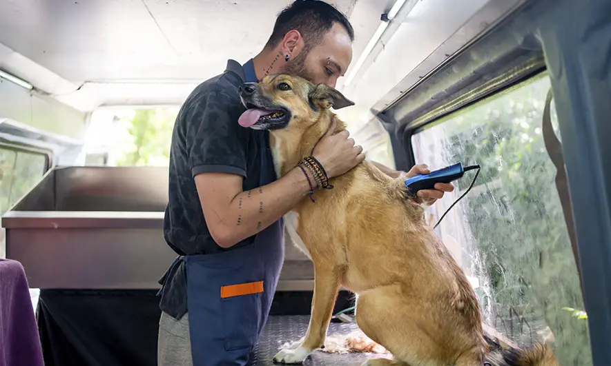 mobile pet grooming startup business